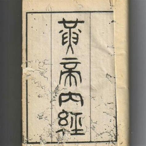 沖門|《中醫詞典》解釋「沖門」的意思